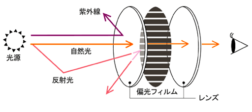 偏光膜の説明
